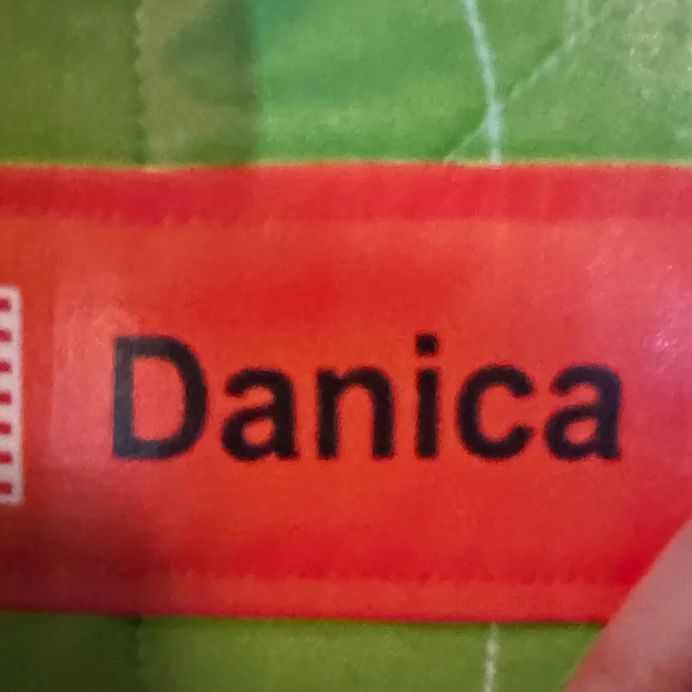 Danica Patrick life size cardboard cut out - Picture 12 of 12